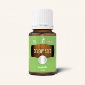 Celery Seed 芹菜籽